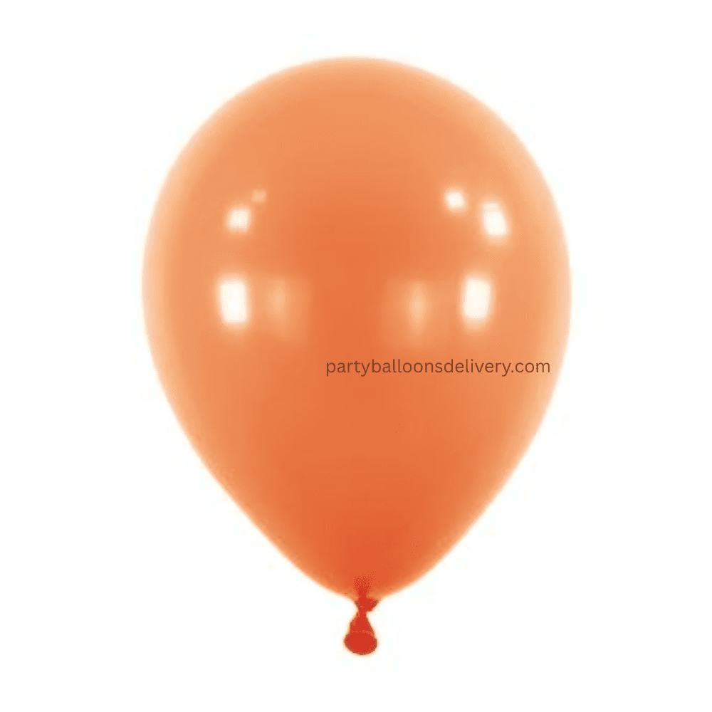 5C ANAGRAM FASHION TERRACOTTA